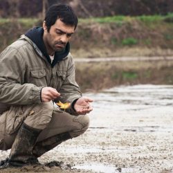 Sortie en salle du nouveau film de Mohammad Rasoulof, « Un homme intègre » (2017)