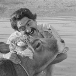 Projection de « La Vache » (1969) de Dariush Mehrjui au Grand Action, le jeudi 15 février à 20h30