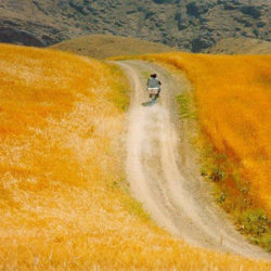 Abbas Kiarostami. Les chemins de la liberté, Centre Pompidou, 19 mai-26 juillet 2021