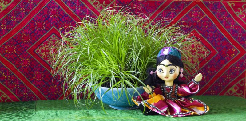 norouz_verdure_poupee_ph_kamrouz