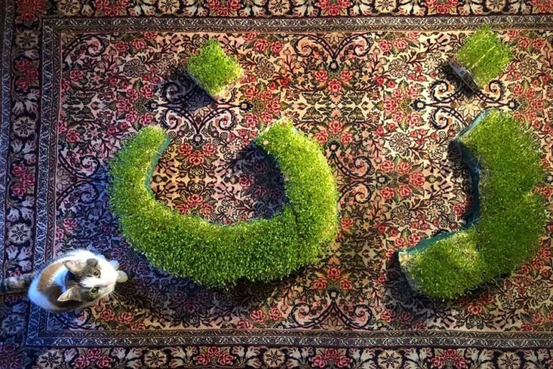 Joyeux Norouz 1402 !