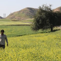 Sortie en salle de « L’Odeur du vent » (2022) d’Hadi Mohaghegh