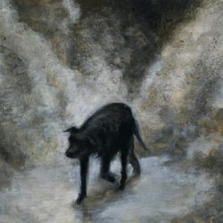 « Feux » (2022)